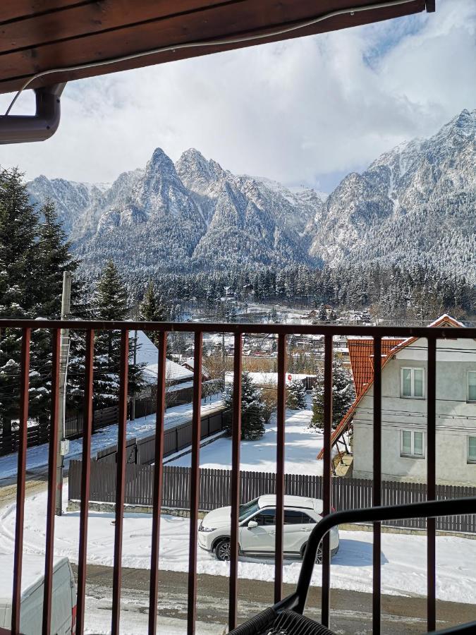 Отель Casa Liana Буштени Экстерьер фото